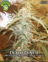Seattle Chronic Seeds Death Punch