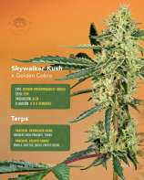 Secretfile Genetic Skywalker Kush x Golden Cobra