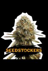 SeedStockers Wedding Glue