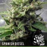 Short Stuff Seedbank Auto Spanish Diesel