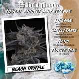 Sin City Seeds Beach Truffle