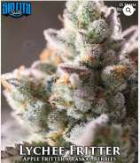 Sin City Seeds Lychee Fritter