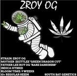 South Bay Genetics ZRoy OG