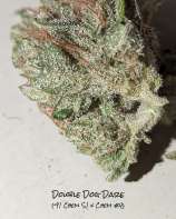 Strain Reign Double Dog Dare