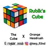 Terp Fi3nd Rubik’s Cube
