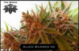 The Breed Alien Banner OG