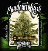 The KushBrothers Seeds Pandemic Kush