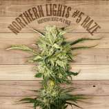 The Plant Northern Lights 5 Haze