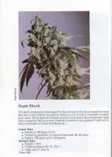 The Seed Bank Super Skunk