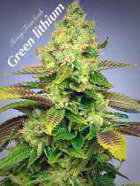 Twisty Seeds Green Lithium