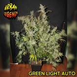 Urban Legends Green Light Automatic