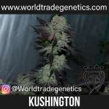 World Trade Genetics Kushington