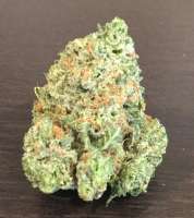 Imagen de Hondo13 (Platinum Tiger Cookies)