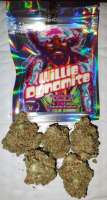 Amish Warrior Seeds Willie Dynamite - foto de 420meowmeowmeow