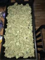 Imagen de Longcord (Pineapple Chunk)