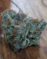 Beyond Hype Seed Co Blueberry Muffin Top - foto de Beyondhypeseedco