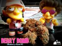 Bomb Seeds Berry Bomb - foto de Justin108