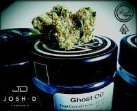 Clone Only Strains Ghost OG - foto de Justin108