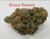 Imagen de TheHappyChameleon (Bruce Banner)