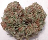 Ethos Genetics Black Fire - foto de GreenCranium