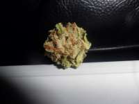 Imagen de jd09uk (Lemon Skunk)