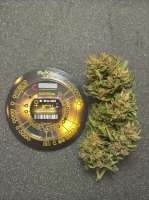 Imagen de Chesterland (Super Silver Haze)