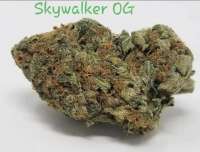 Imagen de TheHappyChameleon (Skywalker OG)