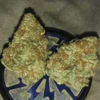 Imagen de GanjalfTheGreen (Chemdawg)