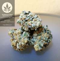 Imagen de pineappleltd (Chocolate Mint OG)