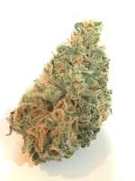 Imagen de Cochino (Island Sweet Skunk)