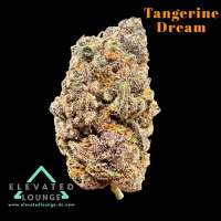 Plantamaster Seeds Tangerine Dream - foto de ElevatedLoungeDC