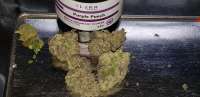 Imagen de Provo (Purple Punch)