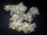 Rare Dankness Seeds Rare Darkness - foto de admin