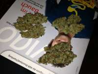 Reserva Privada Silver Kush - foto de Hashpapy