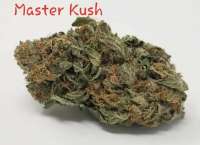 Imagen de TheHappyChameleon (Master Kush)