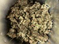 Spliff Seeds Moon Walker Kush - foto de real6ta