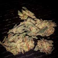 Imagen de Jaybone (Spliffs Strawberry)