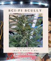 Talez Of Chronic Sci-Fi Scully - foto de Talezofchronic1