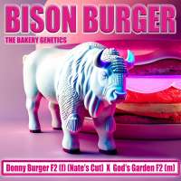 The Bakery Genetics Bison Burger - foto de TheBakeryGenetics