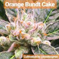 The Bakery Genetics Orange Bundt Cake - foto de Thebakerygenetics