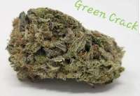 Imagen de TheHappyChameleon (Green Crack)