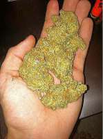 Unknown or Legendary Platinum Bubba - foto de MojoBobo