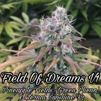 Waffle House Genetics Field of Dreams V1 - foto de WaffleHouseGenetics