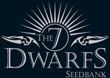 Logo The 7 Dwarfs