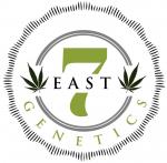 Logo 7 East Genetics