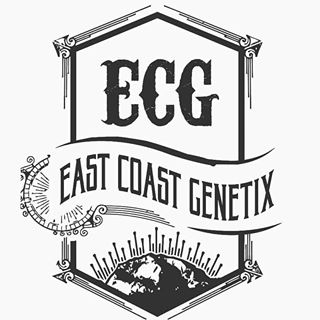 Logo East Coast Genetix