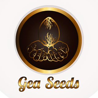 Logo Gea Seeds
