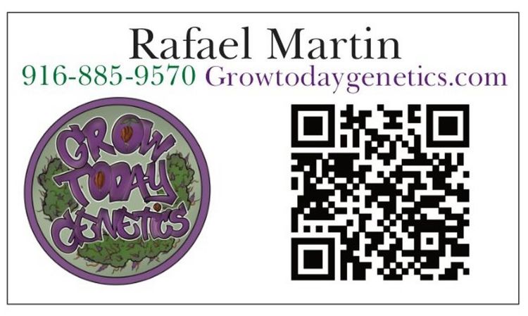 Logo Grow Today Genetics