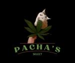 Logo Pacha's Select