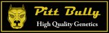 Logo Pitt Bully